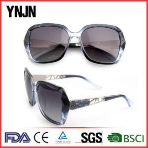 New Coming Ynjn Polycarbonate Sunglasses for Women (YJ-A4046)