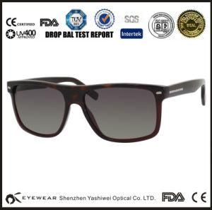 Shenzhen Eyeglasses Store Brand Name Fashion Frames and Sunglasses