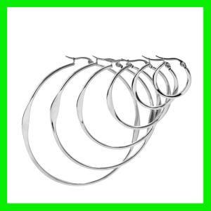 2012 Large Hoop Women Earring Jewelry (TPSE506)