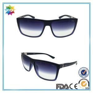 New Design Brand Eyeglasses Fashion Sunglasses for Men