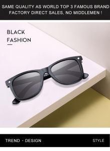Brand Quality Tr90 Frame Metal Spring Hinge Photochromic Lens Sunglass