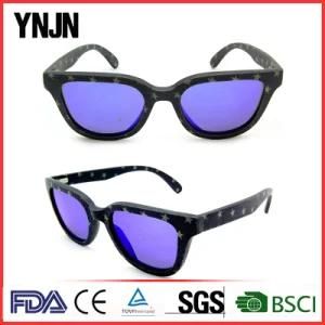 Metal Hinge Star Pattern Denim Material Frame Fashion Sun Glasses