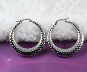 Stainless Steel Jewelry/Stainless Steel Earring (E3811)