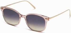 Double Rivets Metal Temple Gleaming Unisex Sunglasses