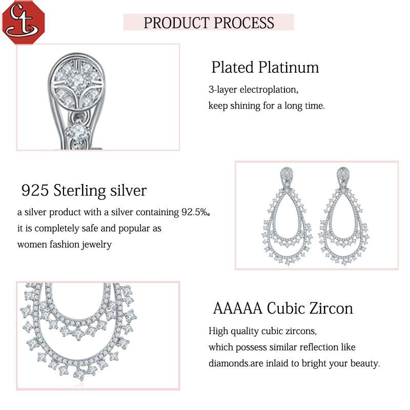 Trending jewelry 2021 fashion women′s drop 925 silver Earrings