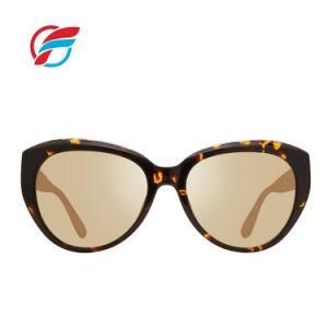 Ce and FDA Certified Tac Polarized UV400 Customized Brand Logo Fashion Sunglasses