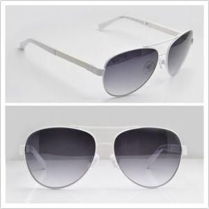 Ladies Sunglasses / Modern Style Eyewear / Top Quality Sunglasses