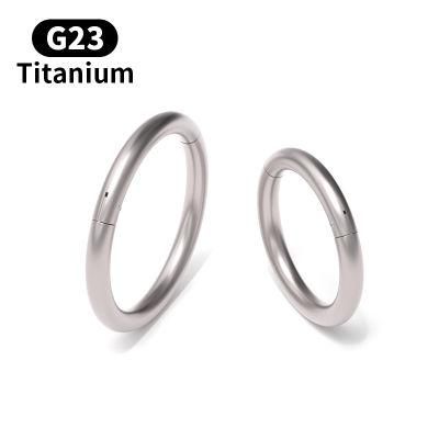 Classic Titanium Daith Earring Hoop Cartilage Tragus Helix Rings 16g Titanium Septum Piercing Jewelry Hinged Segment Hoop