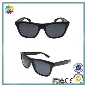 Hot Selling Brand Glasses with Sports Fashion Sunglasses
