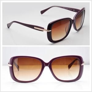 Designer Sunglass/ Men Sunglasses/ 2013 New Sunglasses Spr 080s Wine