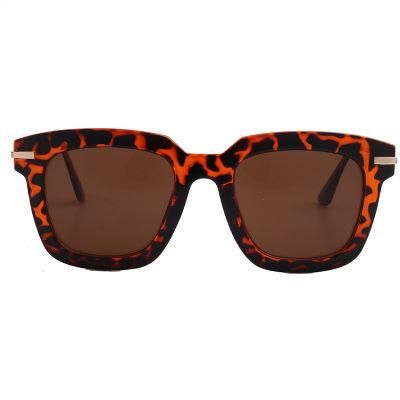 2020 Tortoise Brown Square Shape Fashion Sunglasses