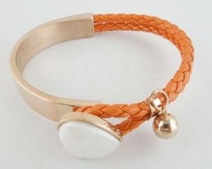 Stainless Steel Jewelry, Fashion Steel Charm Bracelet, Hot Steel Jewelry Bracelet (3447)