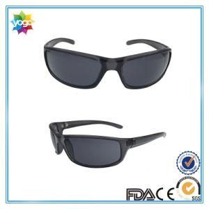 Brand New Designer Plastic Fashion Sunglasses for Men