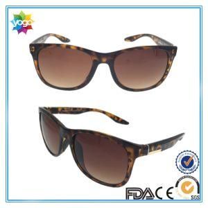 Factory Supply Waterproof Super Bright Trj2028 New Model Sunglasses