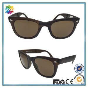 Top Quality Eco Friendly Fashion Polarized Sunglasses