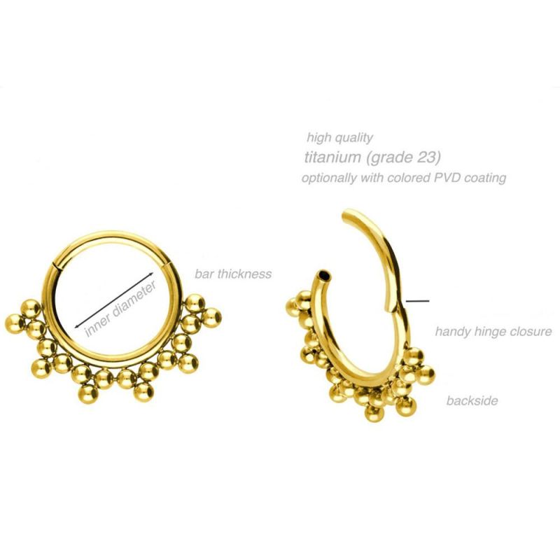 New ASTM F136 Titanium Hinged Nose Ring Segment Clicker Body Jewelry Piercing