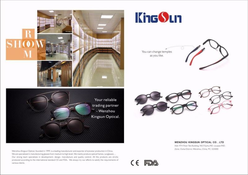 High Quality Folding Acetate/Tr Sunglasses with Glass Lens Ks1160