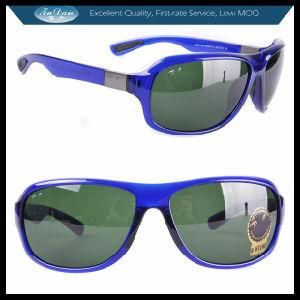 Ladies Sunglasses Specialized Eyewear Glass