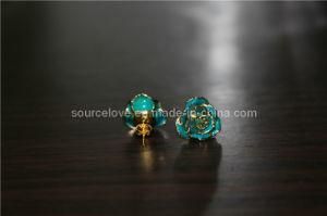 Fashion Lady Jewelry, Earrings for Holiday Gift (EH084)