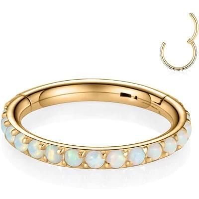 Hot Selling ASTM F136 Titanium Hoop Fashion Jewelry Hinged Segment Ring