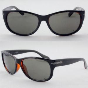 Quality Designer Simple Fashion Sunglasses with FDA Certification (91081)