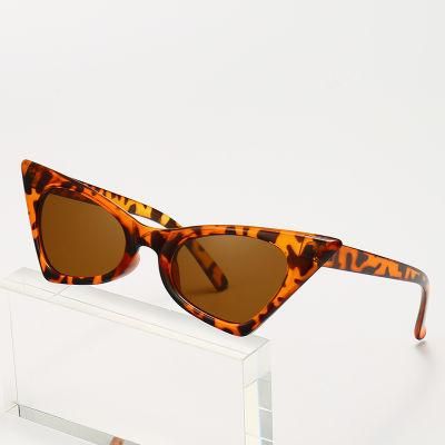 Cat Eye Fashion Sunglasses for Lady