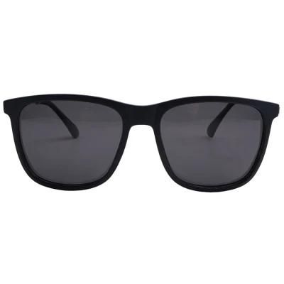 PC Frame Metal Tips Style Eyes Fashion Shades UV Sunglasses for Men