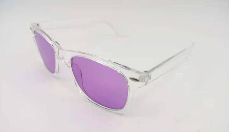 2021 Fashion Raybanable Custom Classic Men High Quality PC Colorful Lens Shade Sunglasses Promotion Retro Sport Sunglasses