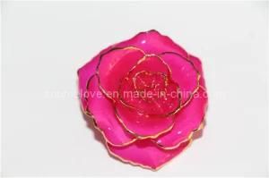 Fashion Brooches for Women Jewelry (XZ013)